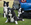 Preston Agility Dogs