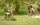 Chatsworth International Horse Trials 2015
